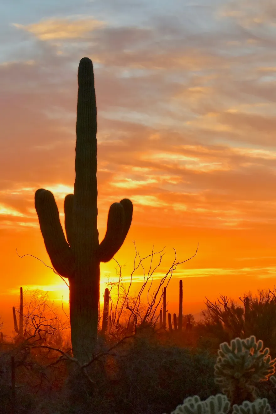 Scottsdale